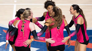 Image result for Ellesmere Port Eels Volleyball Club