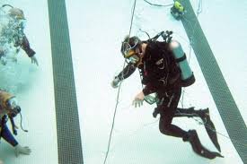 Image result for Dive Crew Scuba Diving