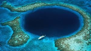 Image result for Deep Blue Diving