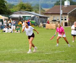 Image result for Luctonians Cricket Club