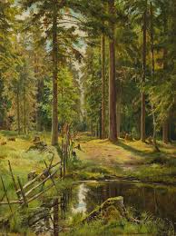 Image result for лес,