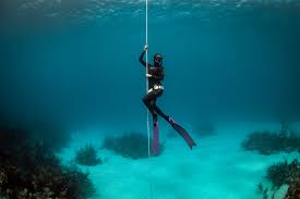 Image result for Blue Water Freediving School