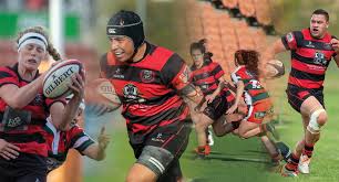 Image result for Hamilton Rugby Football Club