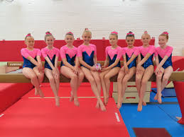 Image result for Northern Gymnastics Club CIC