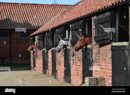 Image result for Old Park Riding Stables