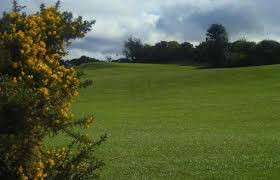 Image result for Hazel Grove Cc