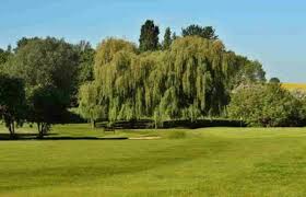 Image result for St Neots Golf Club
