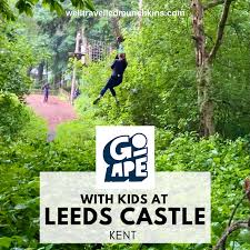 Image result for Go Ape! Leeds Castle