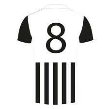 Image result for Sherborne Town Football Club