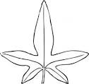 Ivy Leaf clip art Vector clip art   Free vector for free download