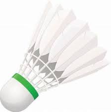 Image result for Clevedon Feathers Badminton Club