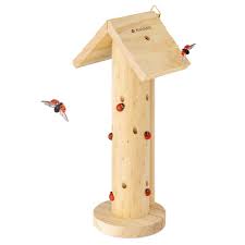 Image result for ladybug house
