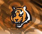 Cincinnati Bengals