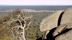 Image result for Loddon Valley Rambling Group