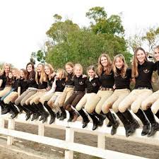 Image result for Woodhill Riding Club