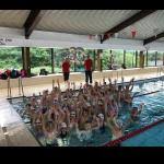 Image result for Loftus Dolphins Swimming Club