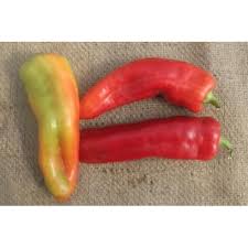 Afbeeldingsresultaat voor aconcagua sweet pepper