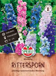 Image result for Rittersporn