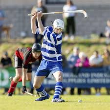 Image result for World of Shinty