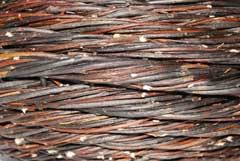 Attēlu rezultāti vaicājumam “Salix daphnoides subsp. acutifolia bud”