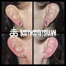 Image result for ear mod