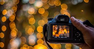 Image result for bokeh