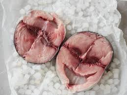 Image result for Thunnus alalunga