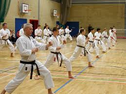 Image result for Kenshukai Karate