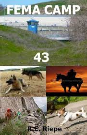 Image result for Camp FEMA