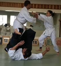 Image result for Ellis Schools of Traditional Aikido