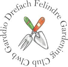 Image result for Drefach Cricket & Football Club