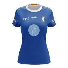 Image result for John Mitchel`s Gaelic Athletic & Social Club