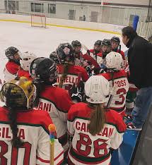 Image result for Reddish Green Ladies Hockey Club