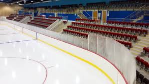 Image result for Streatham Ice Figure Skating Club, Kent