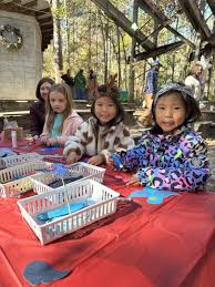 Image result for Link Leisure