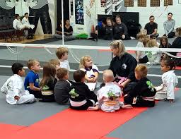 Image result for Okami Karate & Fitness Schools