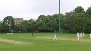 Image result for Valley End Cricket Club