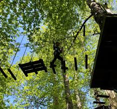 Image result for Go Ape! Leeds Castle
