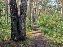 Image result for Приметы