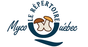 Attēlu rezultāti vaicājumam “Heterotrichia insignis (syn. Arcyria insignis) macro”