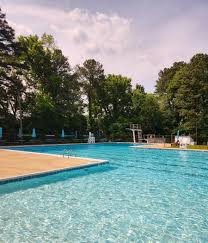 Image result for Aberavon Swimming Club