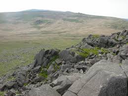 Attēlu rezultāti vaicājumam “Rhabdoweisia fugax sporophyte”