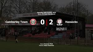 Image result for Camberley Ladies Football Club