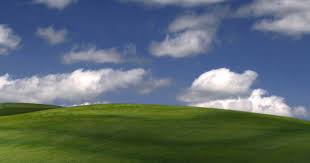 Image result for love windows xp