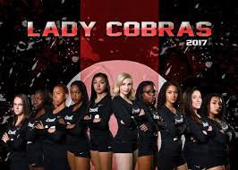 Image result for Cheltenham Cobras Volleyball Club