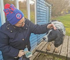 Image result for Ashcombe Valley Archers