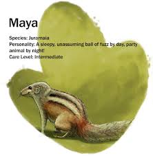 Attēlu rezultāti vaicājumam “Reticularia jurana”