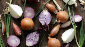 Image result for Zwiebeln