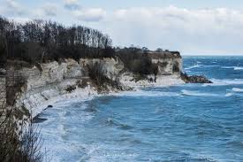 Image result for stevns klint