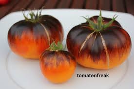 Afbeeldingsresultaat voor grubbs mystery green tomato